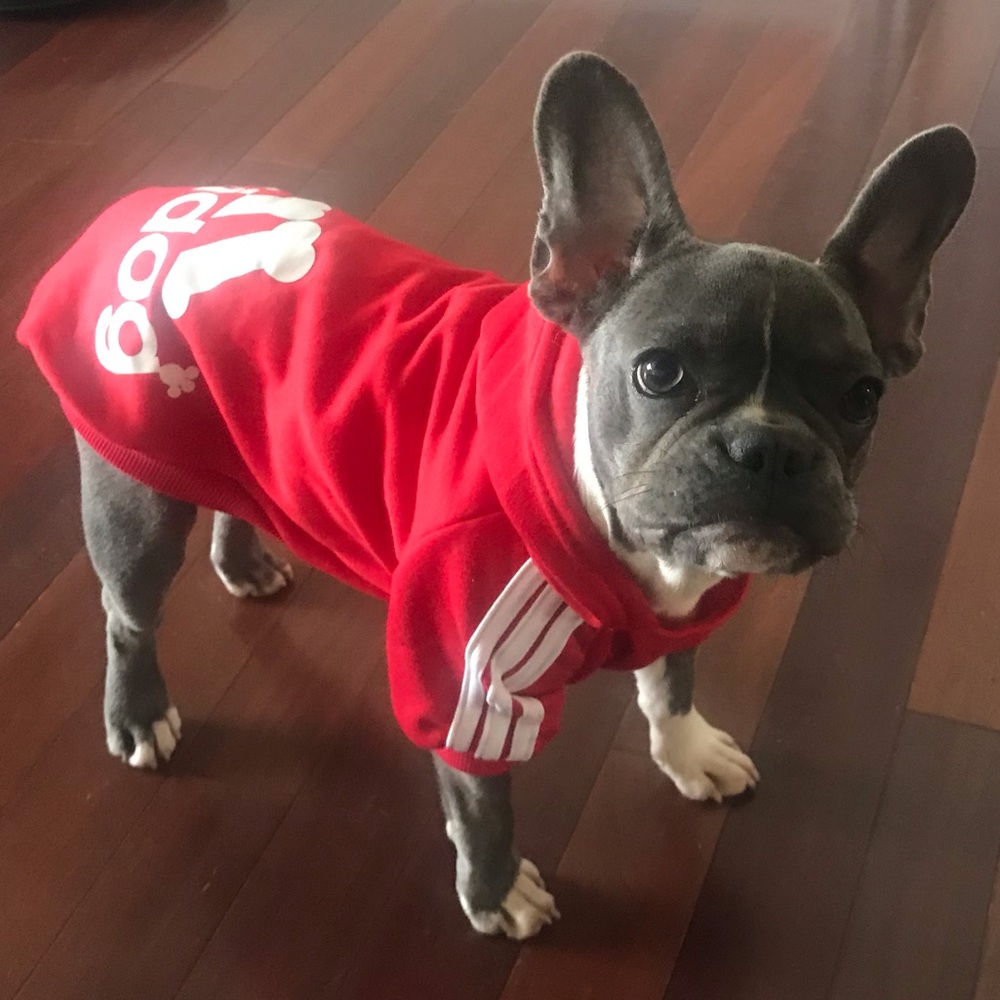 Meet your Posher, Lizet